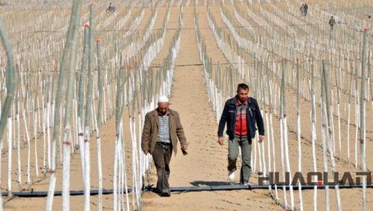 1000kw華全玉柴靜音發電機組發往新疆